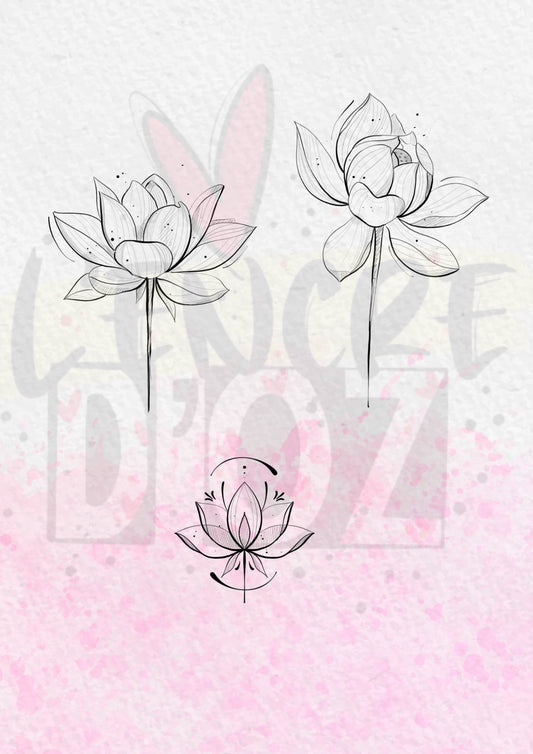 flash lotus